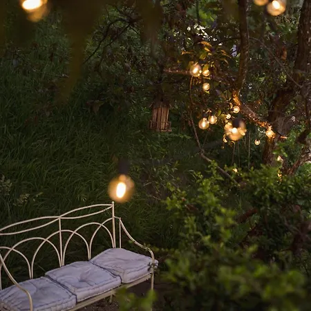 Luxus Fuer Familie Und Hund