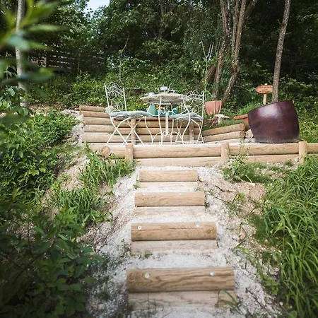 Luxus Fuer Familie Und Hund