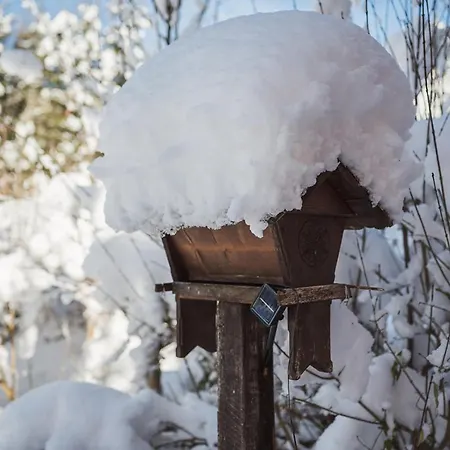 Luxus Fuer Familie Und Hund Vakantiehuis Bad Aussee