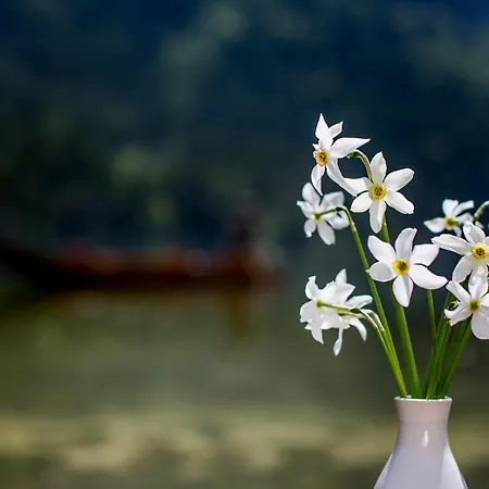 Luxus Fuer Familie Und Hund *