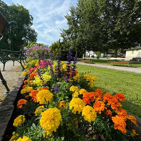 Luxus Fuer Familie Und Hund Bad Aussee