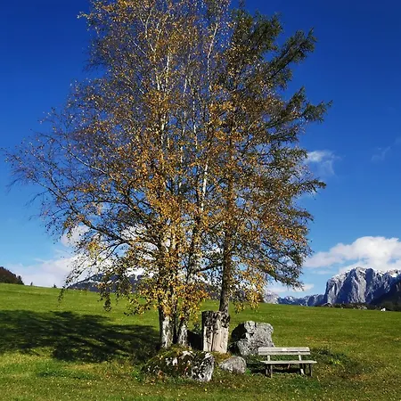 Luxus Fuer Familie Und Hund Vakantiehuis