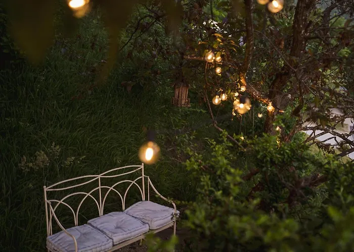 Luxus Fuer Familie Und Hund