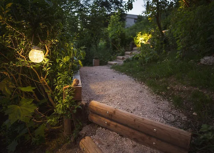 Luxus Fuer Familie Und Hund