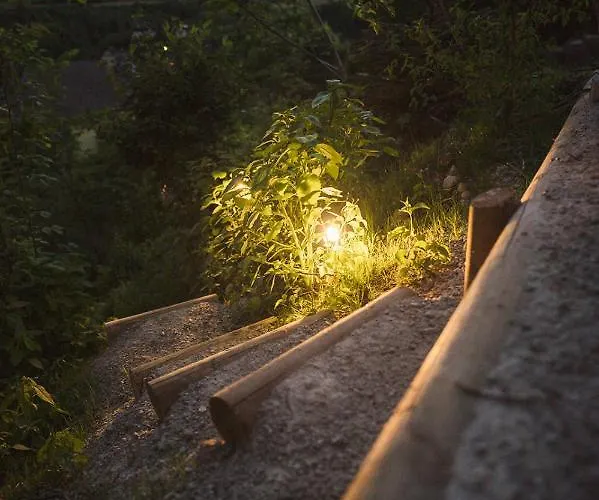 Luxus Fuer Familie Und Hund