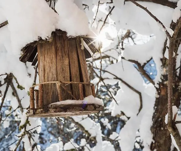 Luxus Fuer Familie Und Hund بيت للعطل *