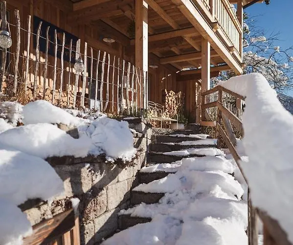 Luxus Fuer Familie Und Hund