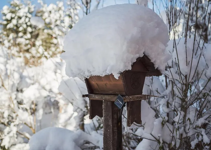 Luxus Fuer Familie Und Hund Casa vacanze Bad Aussee