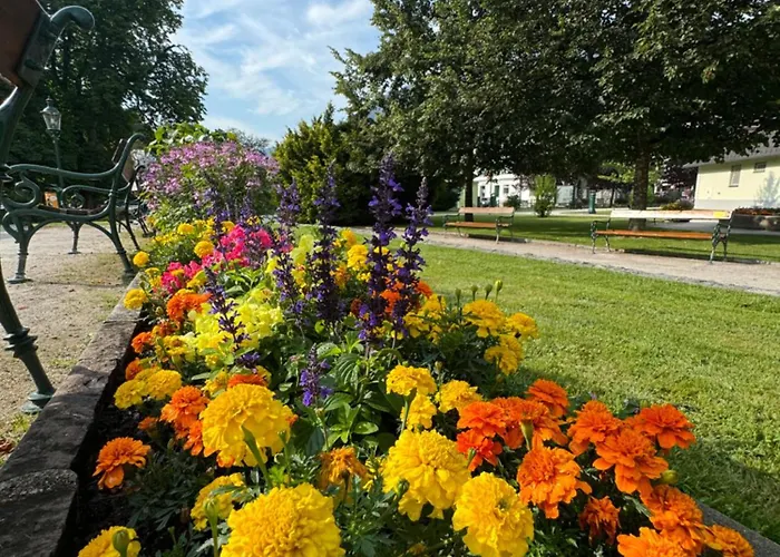 Luxus Fuer Familie Und Hund باد اوسي