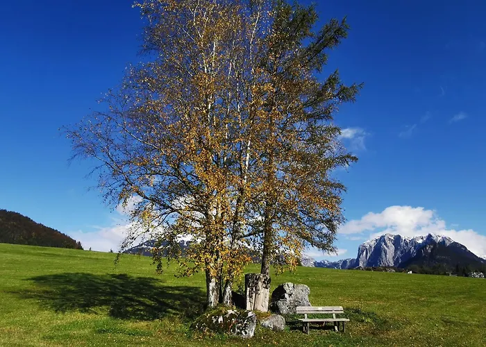 Luxus Fuer Familie Und Hund بيت للعطل